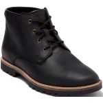 Ботинки Cole Haan, черный