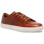 Кроссовки Steve Madden, коричневый 
