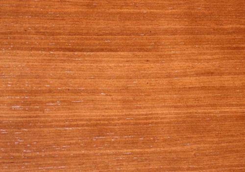 Межкомнатная дверь Глория, тонду, золотой дуб