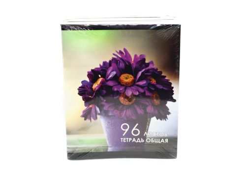 Тетрадь общая 96 листов 8 шт